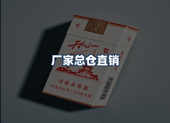 专业团队办公环境